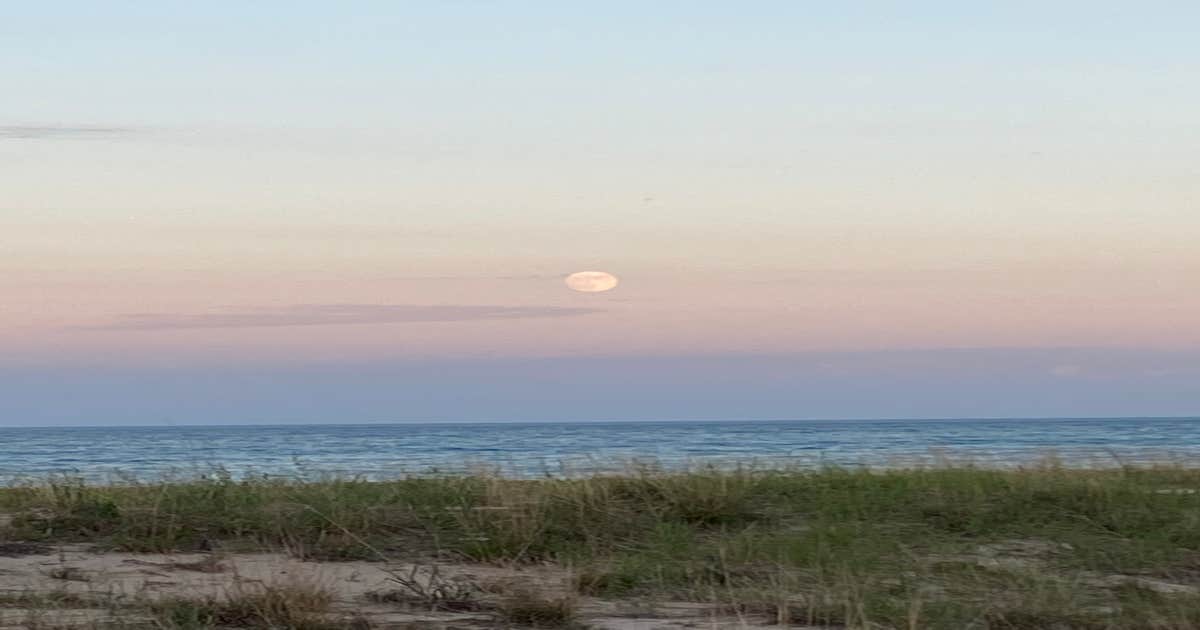 Adeline Jay-Geo Karis Illinois Beach State Park - Main photo
