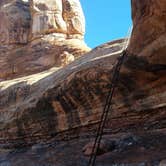 Review photo of Split Top Group Campsite — Canyonlands National Park by Alan B., June 11, 2018