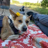 Review photo of Michigan Creek by Kate S., June 24, 2021