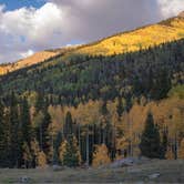 Review photo of Priest Lake Dispersed Camping Area by Alex S., June 24, 2021