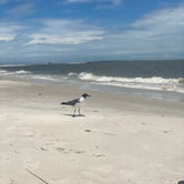 Review photo of Dauphin Island Campground by Jess&Tony , June 24, 2021
