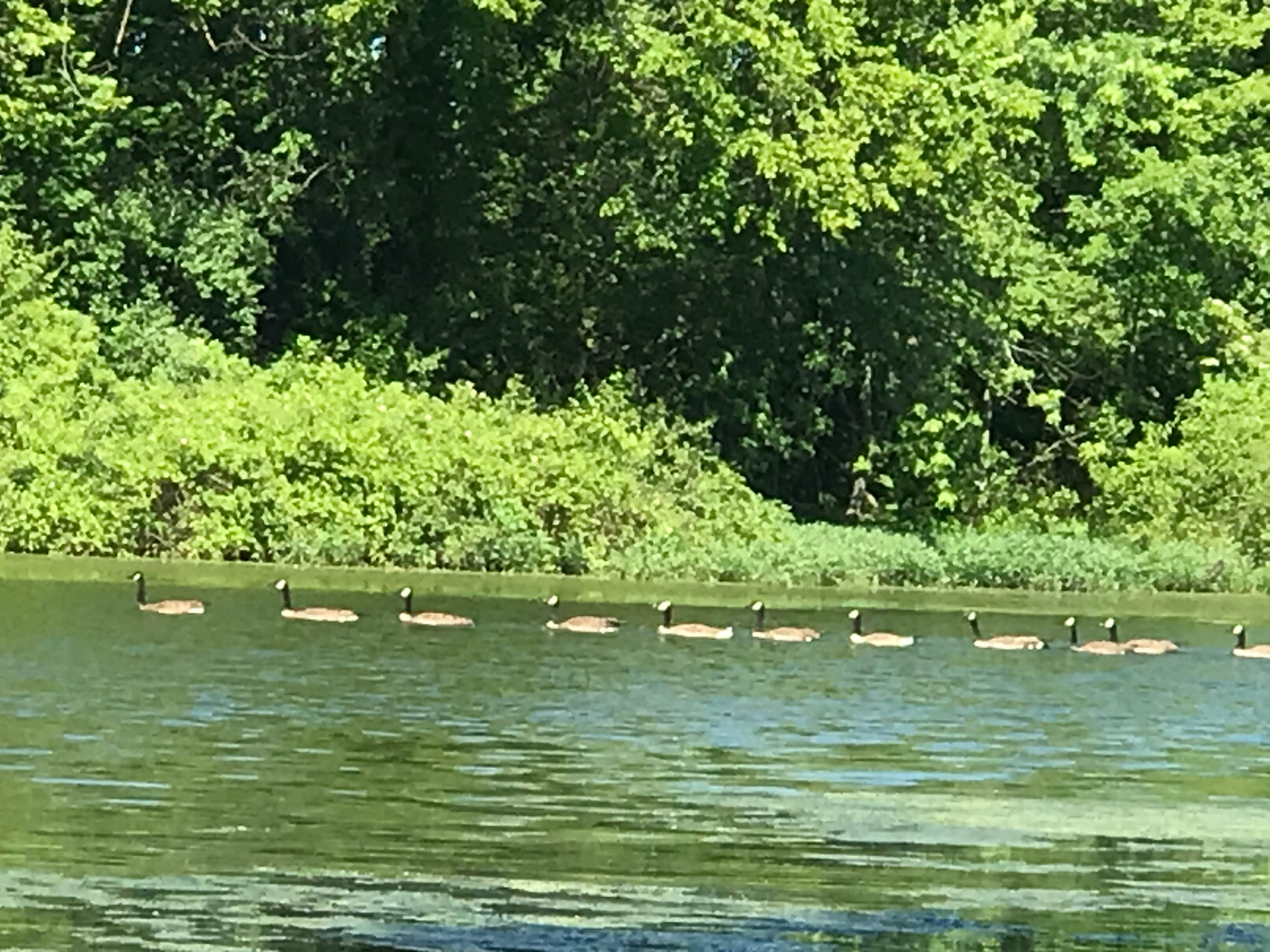 Escape to Serenity: Indiana's Starve Hollow State Recreation Area