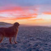 Review photo of Ocracoke Campground — Cape Hatteras National Seashore by Todd S., June 24, 2021