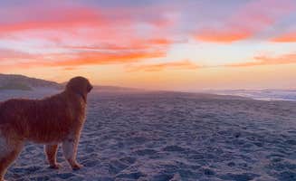 Todd S.'s photo of camping with pets at Ocracoke Campground — Cape Hatteras National Seashore near Harkers Island, NC