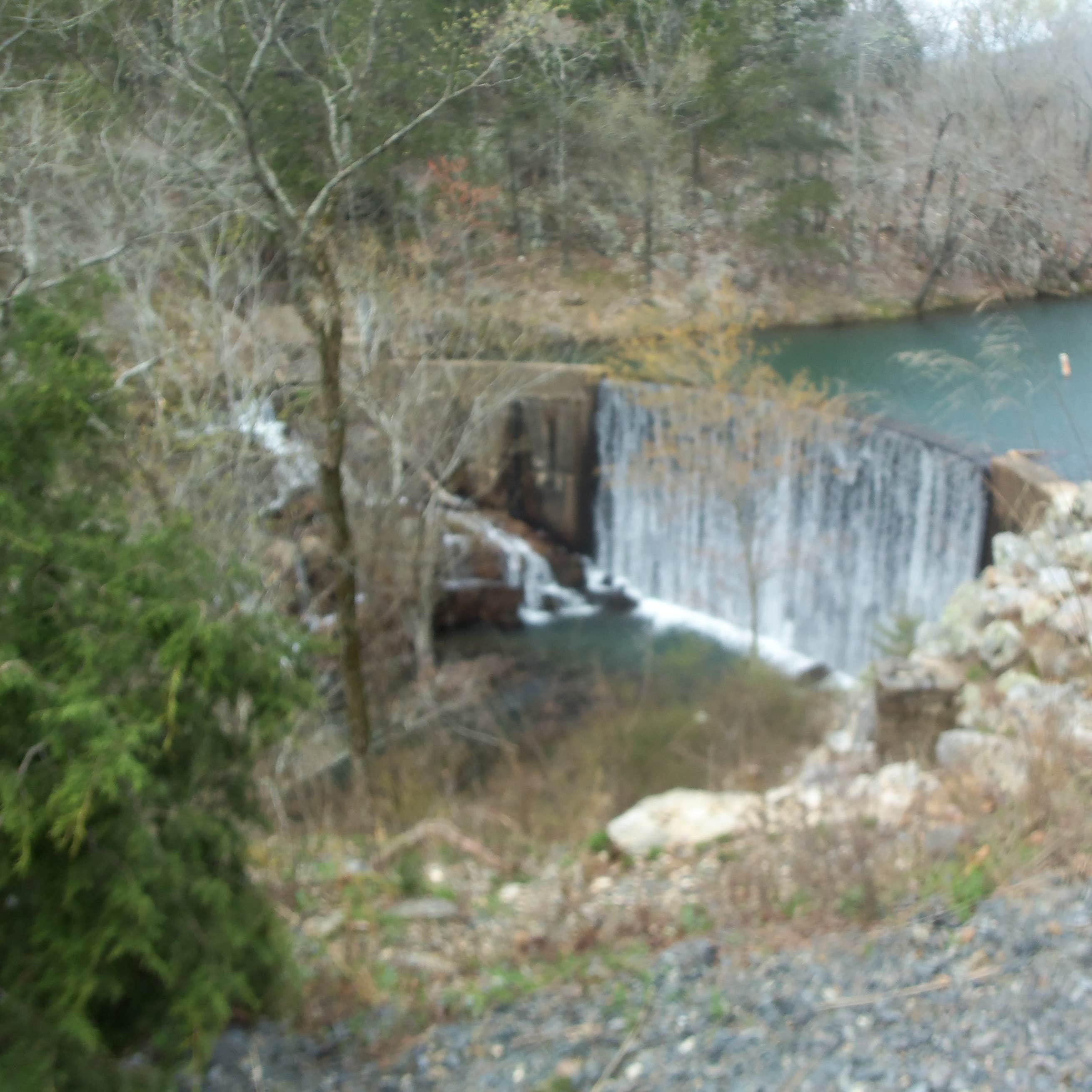 Shady Lake Campground Camping The Dyrt