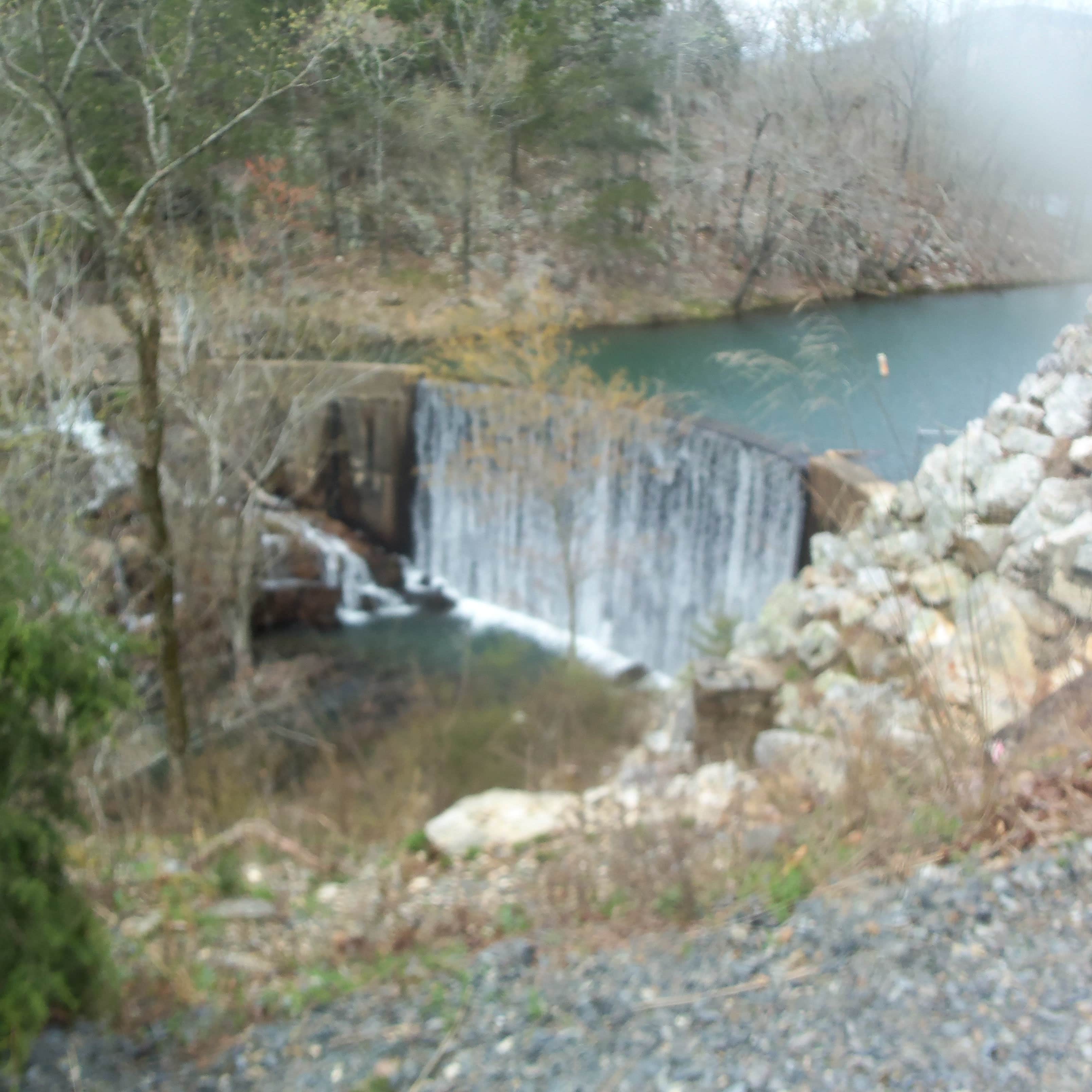 Shady Lake: Your Louisiana Oasis Awaits