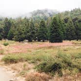 Review photo of Palomar Mountain State Park Campground by Susie F., June 11, 2018