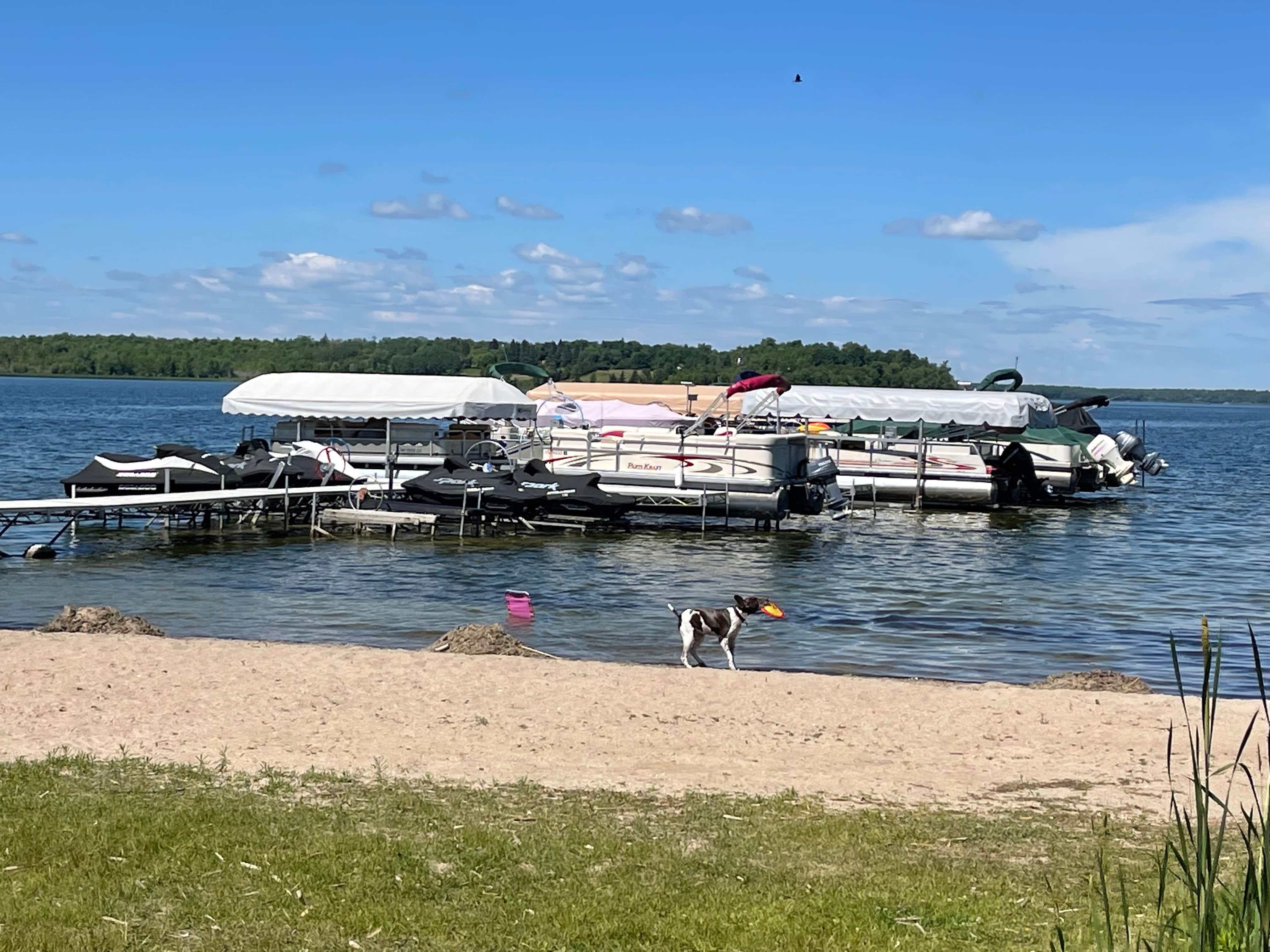 Brent G.'s photo of camping with pets at Tomahawk Lodge Resort and RV Park near Deer River, MN