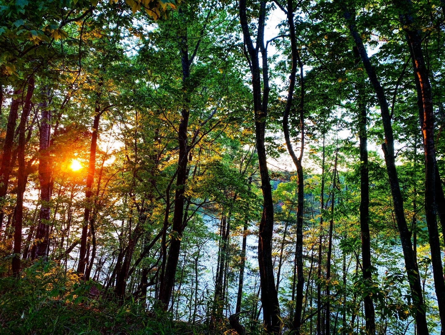 Camping near Long Arm Boat-in Campground 1 — Lake James State Park: Catawba River — Lake James State Park, Linville, North Carolina