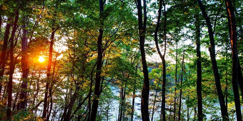 Camper submitted image from Catawba River — Lake James State Park