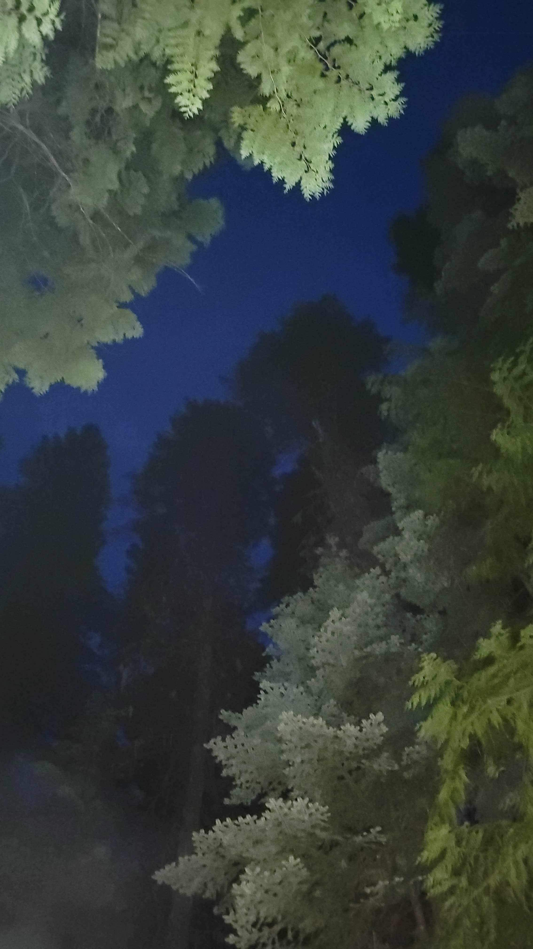 Camper-submitted photo at Cloverleaf Campground — Lake Roosevelt National Recreation Area near Colville National Forest