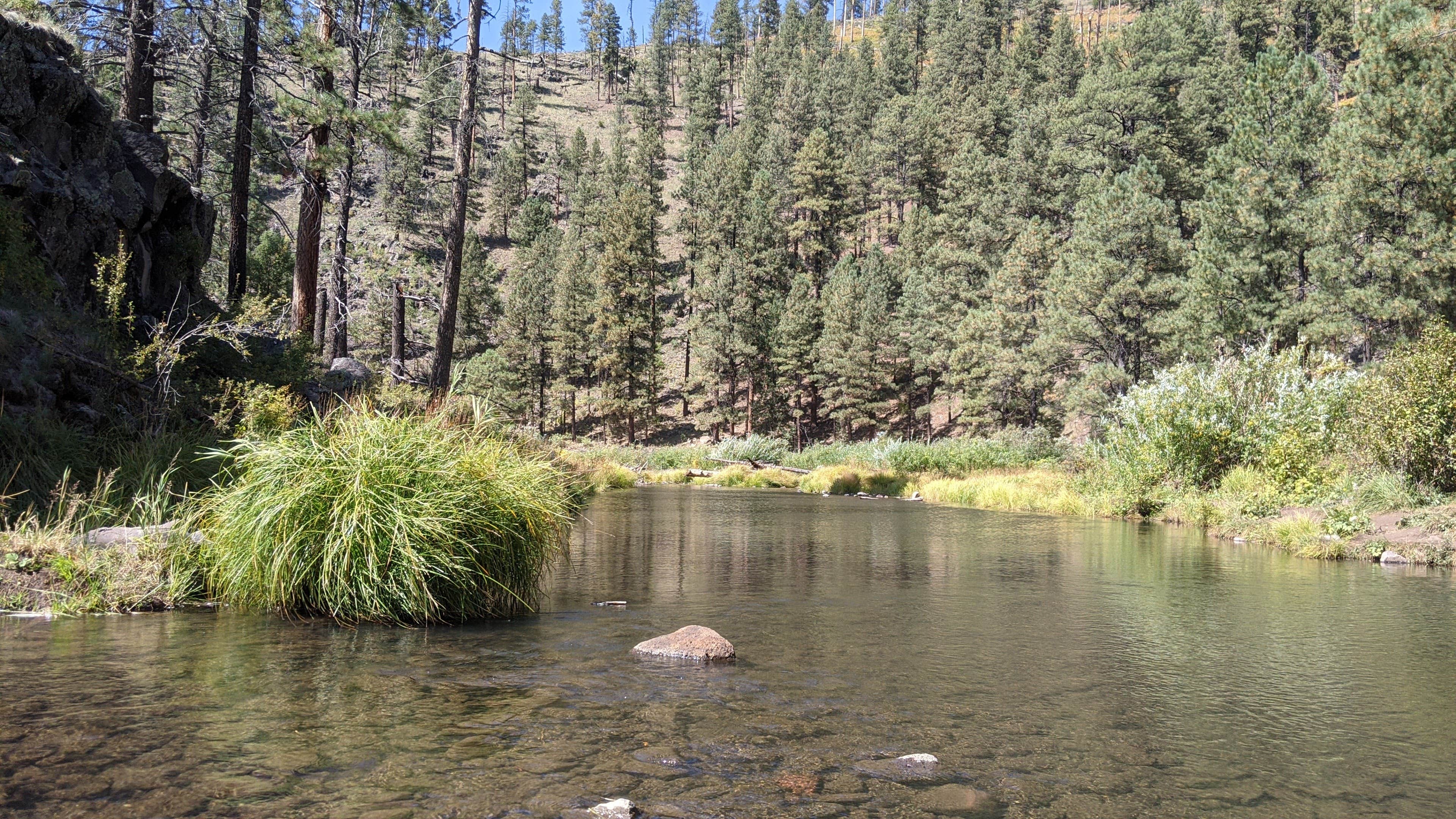 Best dispersed camping near Greer, Arizona The Dyrt