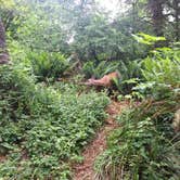 Review photo of Fort Stevens State Park Campground by Pops A., June 24, 2021