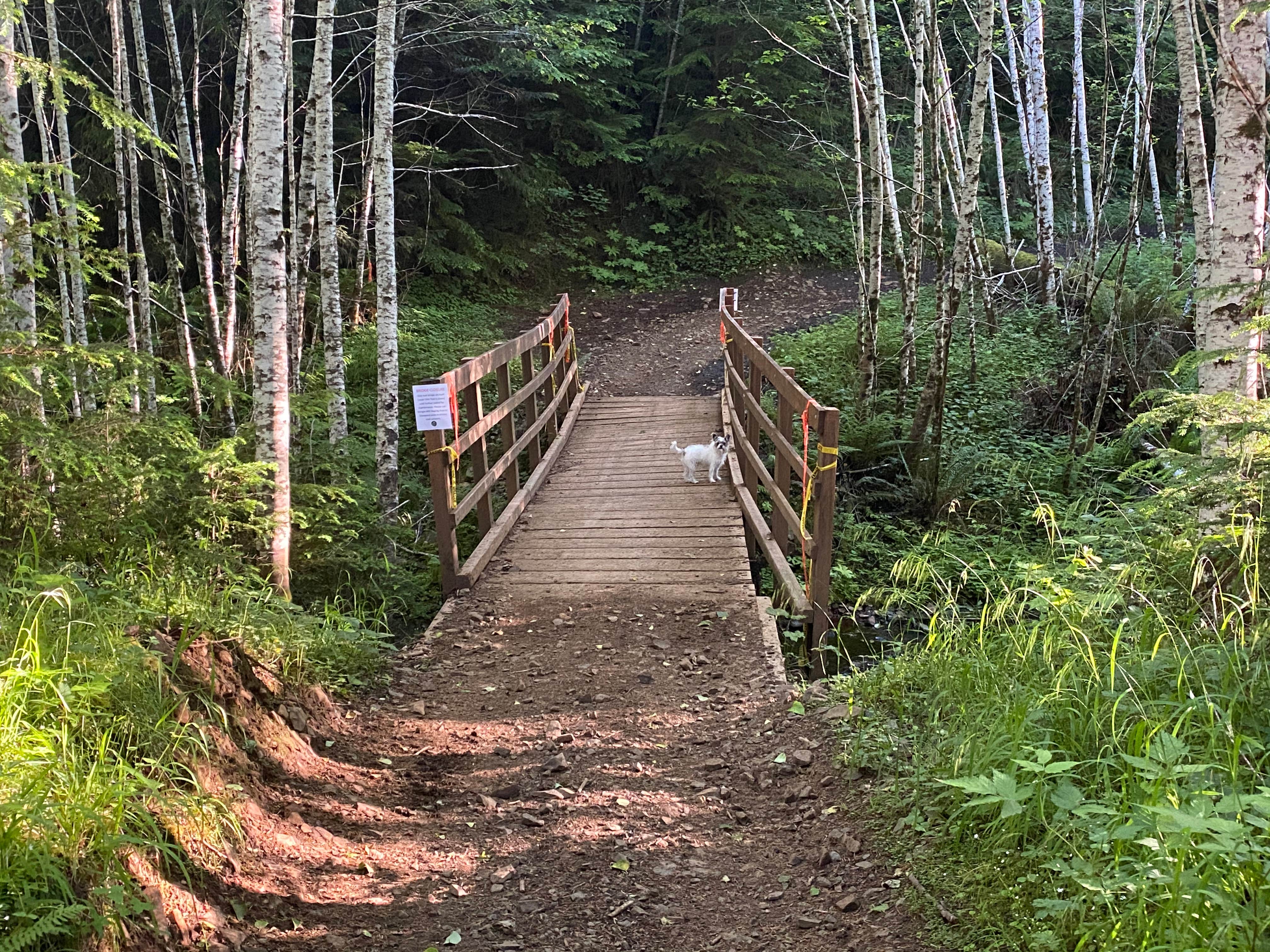 Camping near Brown Falcon Campground BFC: Nicholi Mountain, Cathlamet, Oregon