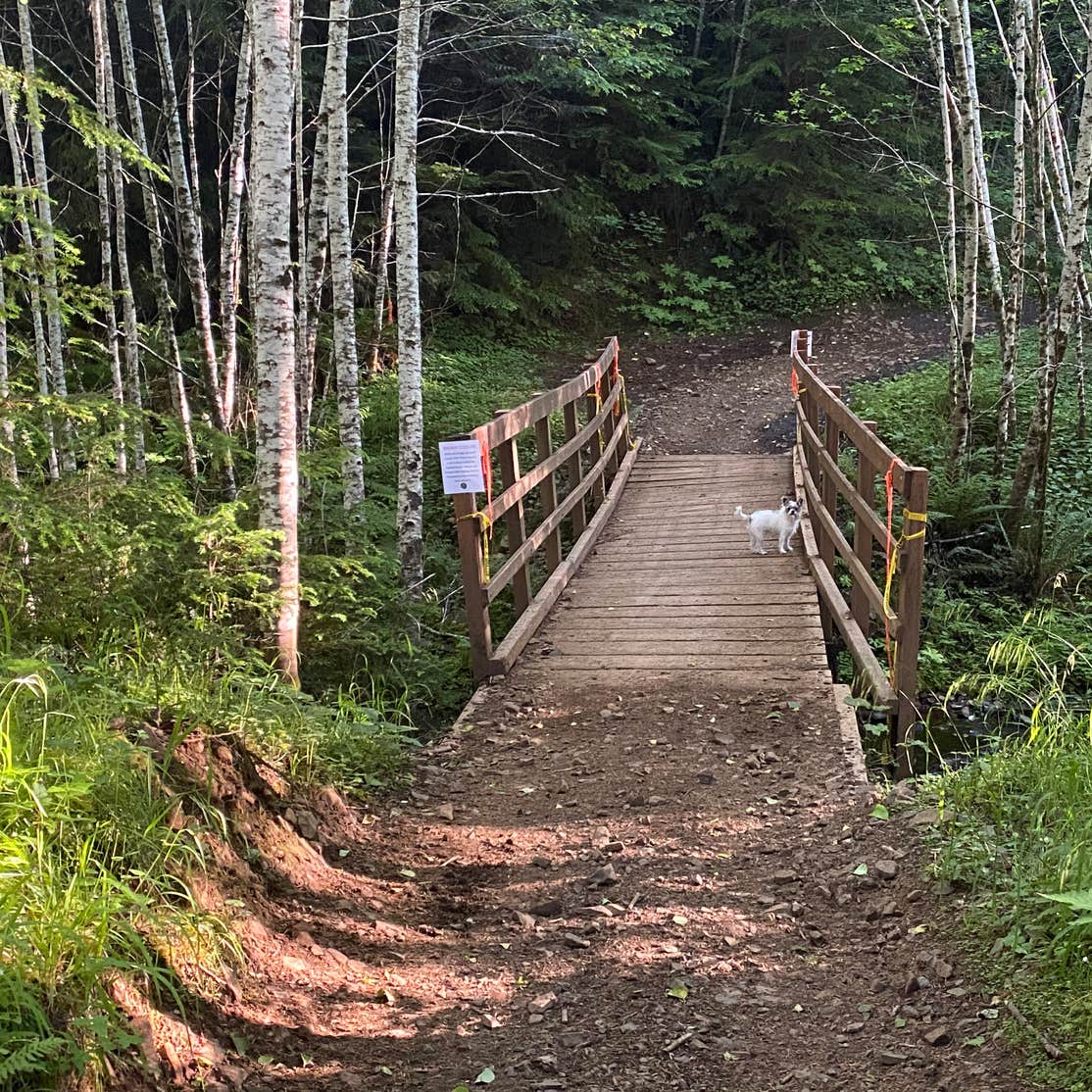 Nicholi Mountain Camping Cathlamet, OR