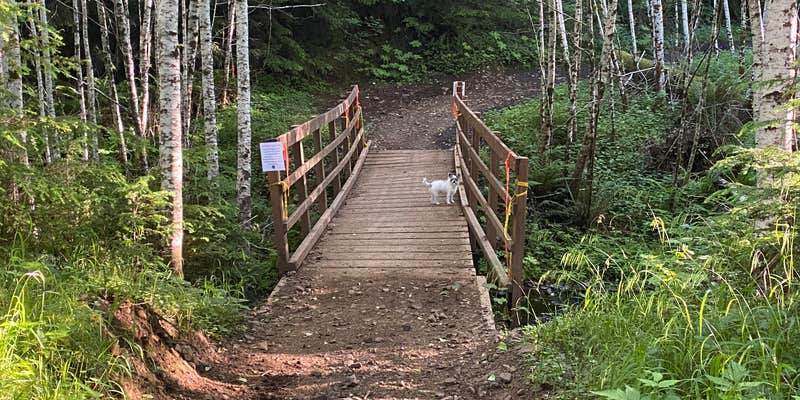 Camper submitted image from Nicholi Mountain