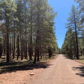 Review photo of Pumphouse Wash (FR 237) Dispersed Camping Area by Alex S., June 24, 2021