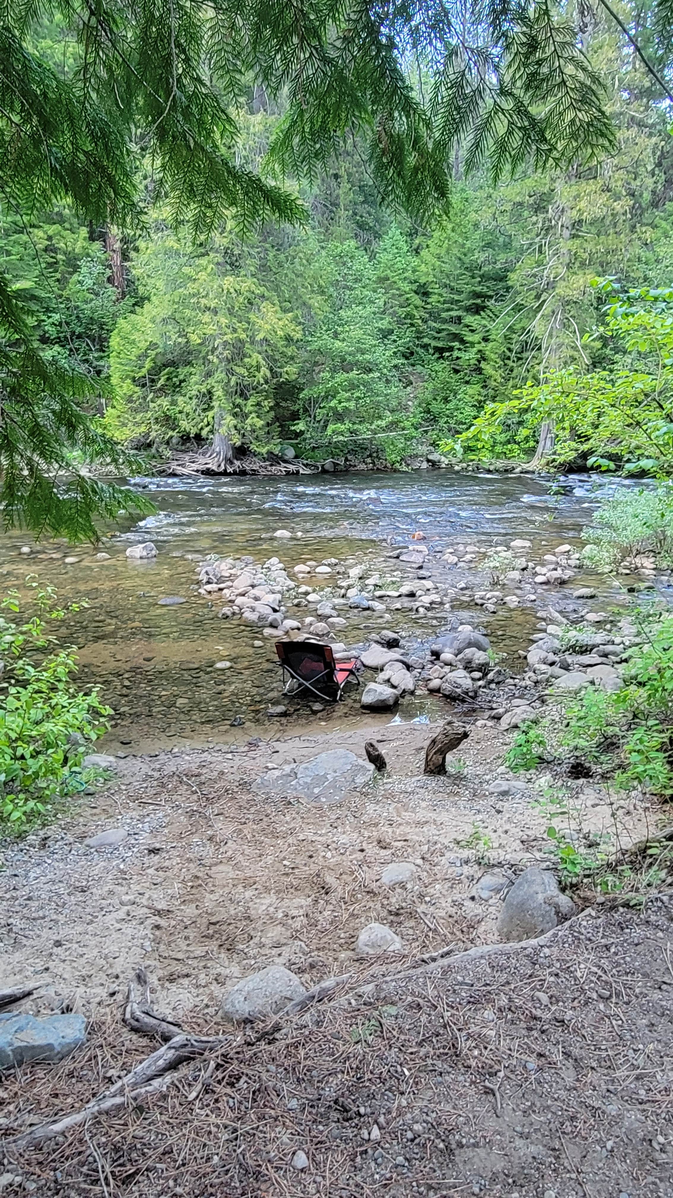 Camper submitted image from Sheep Creek Campground - 4