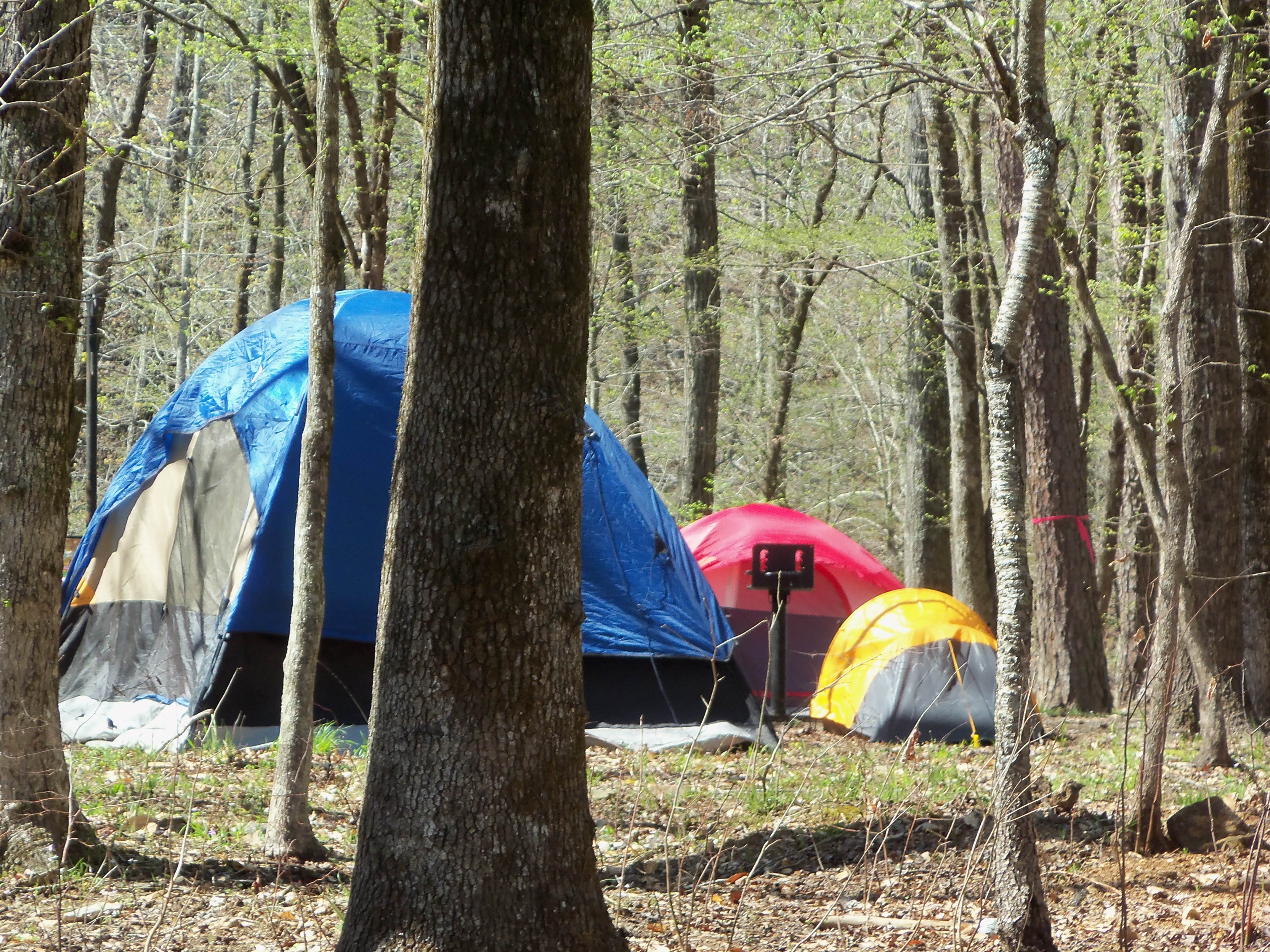 Camper-submitted photo at Shady Lake Campground near Gillham Lake