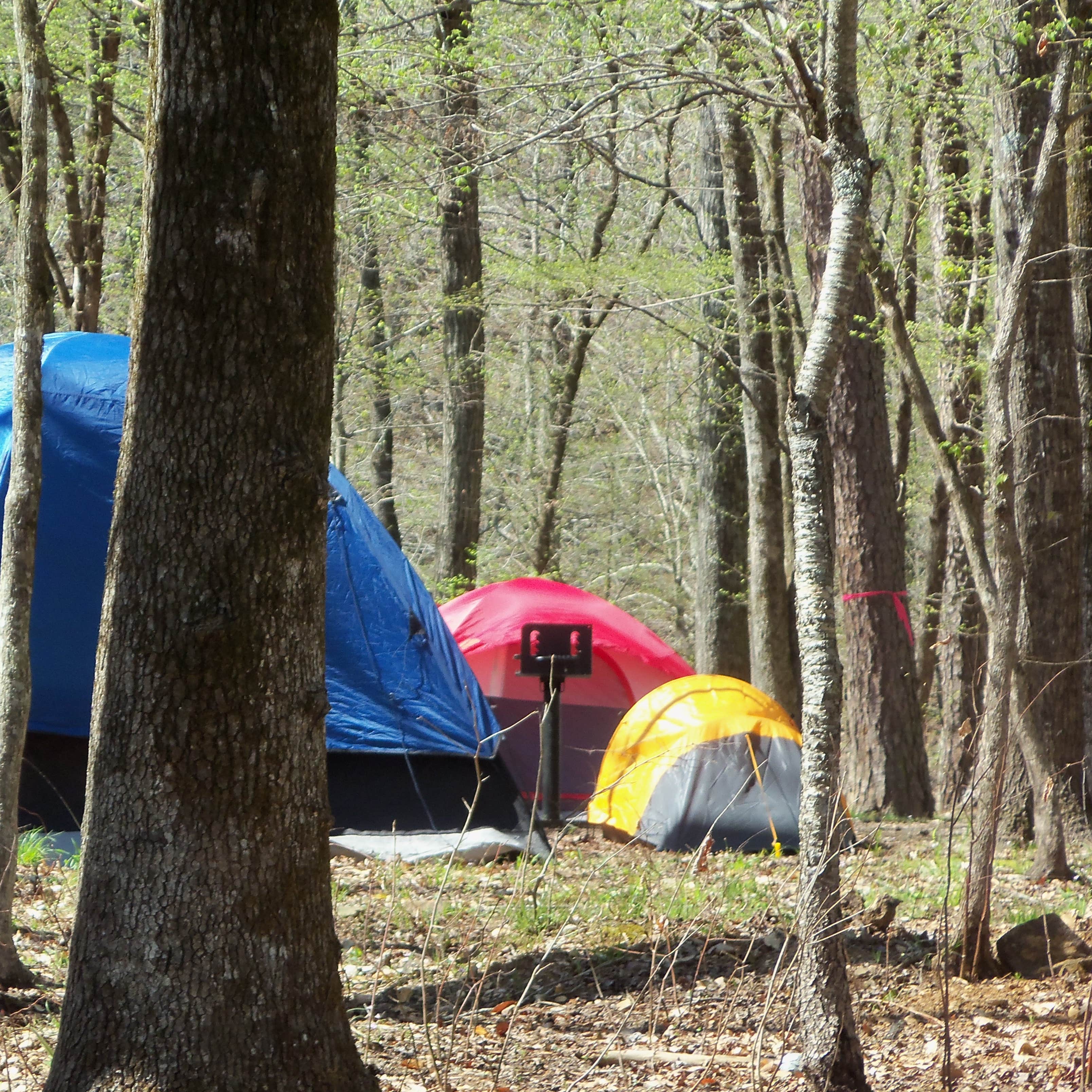 Shady Lake Campground Camping The Dyrt