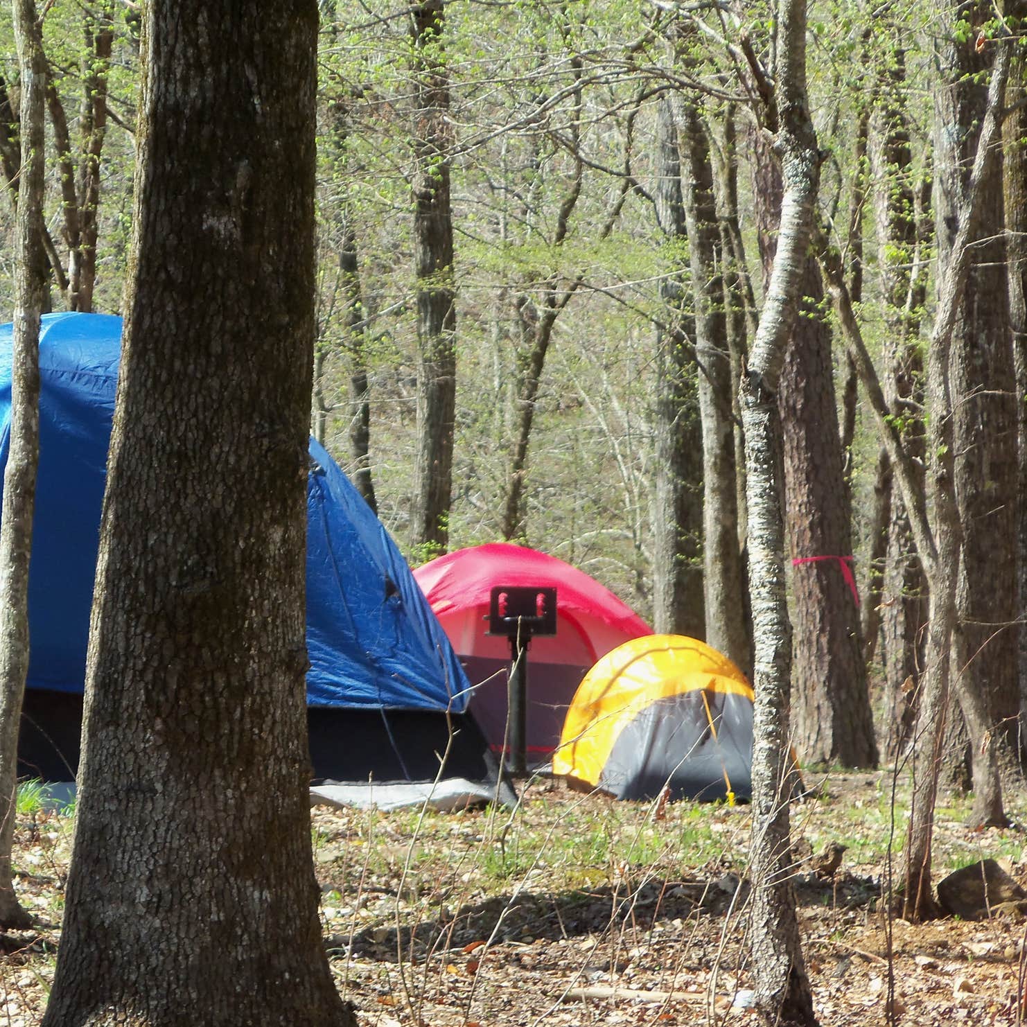Shady Lake Campground Camping The Dyrt