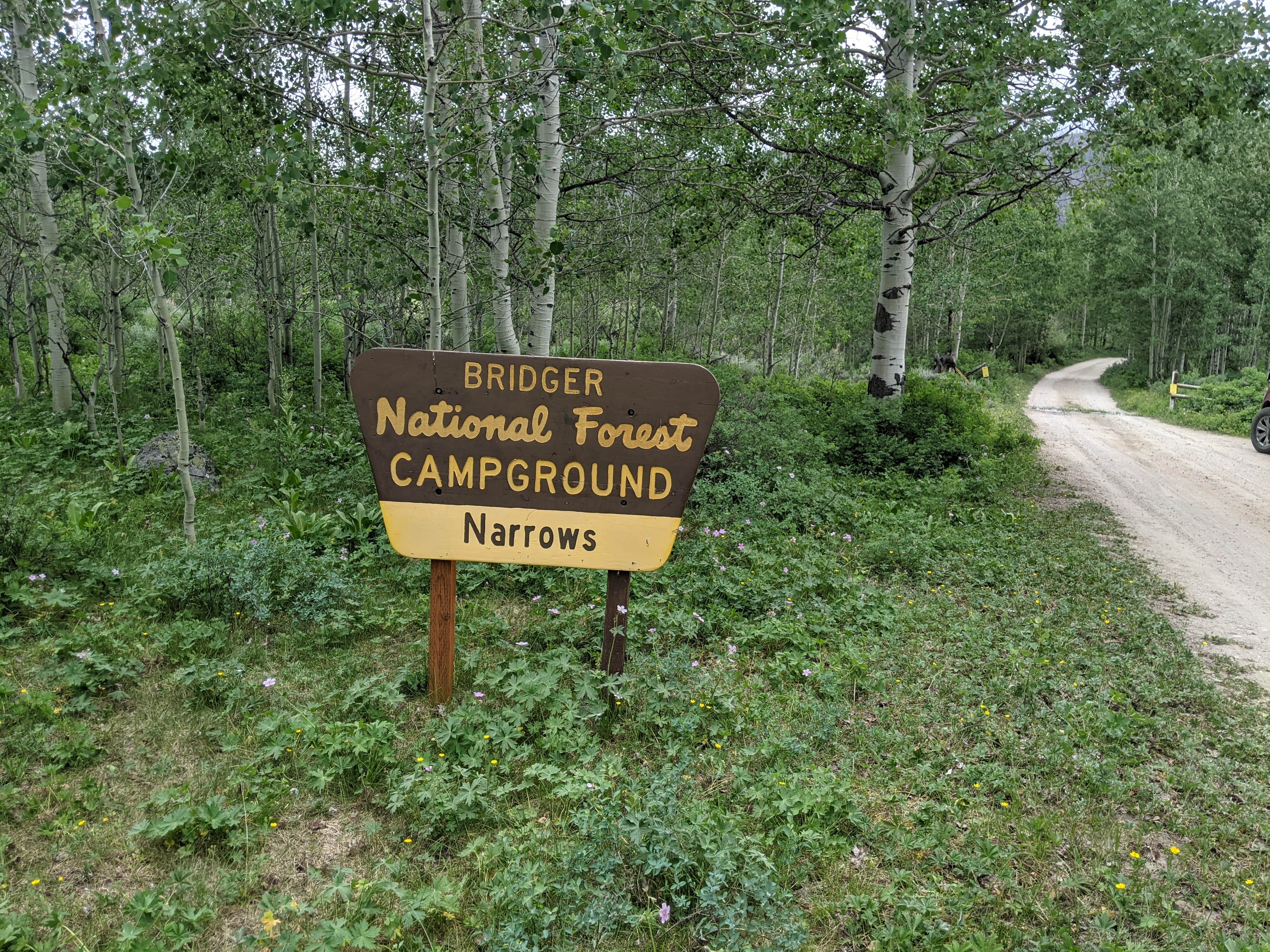 Camper submitted image from Narrows Campground - 2