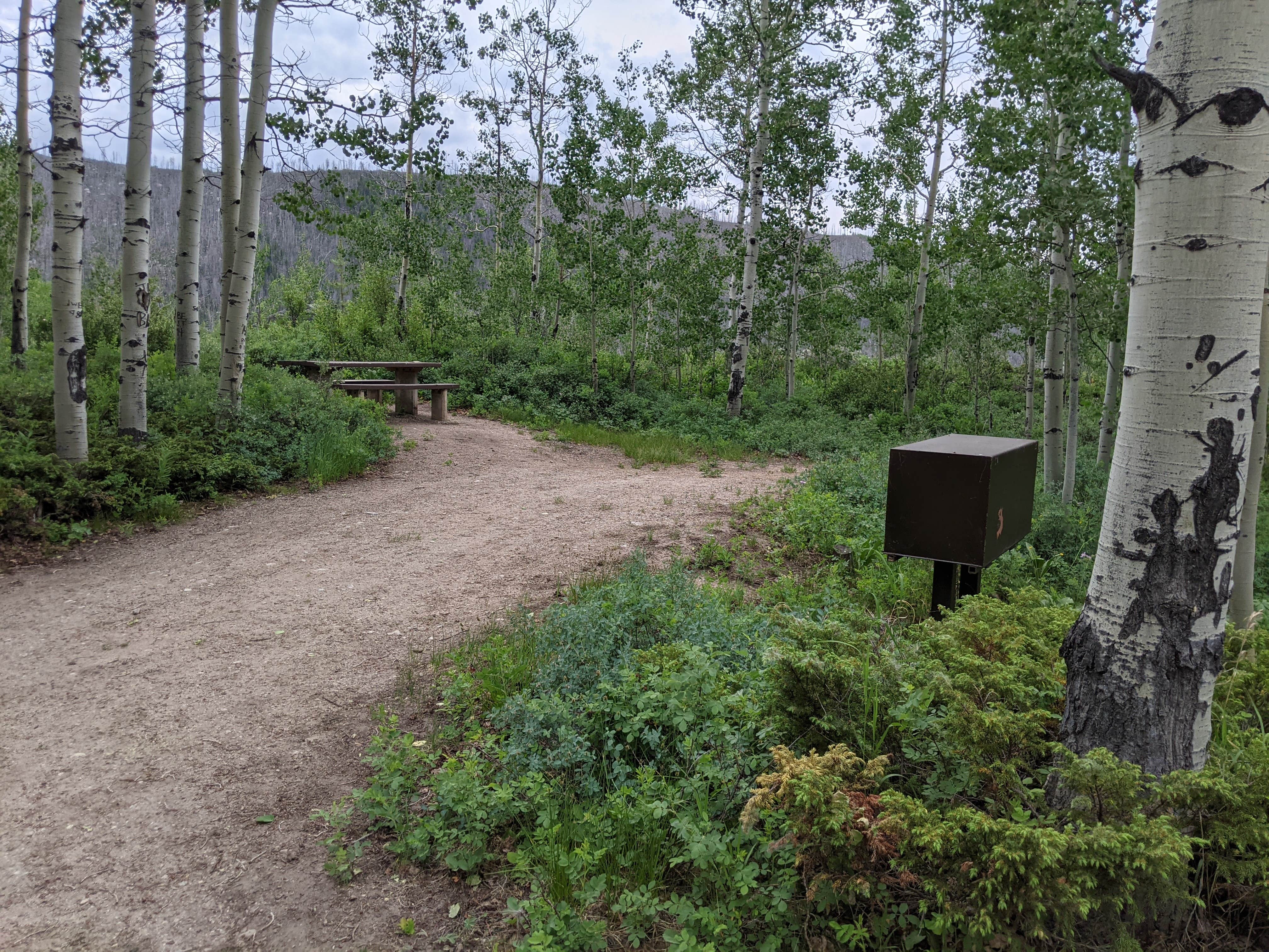 Camper submitted image from Narrows Campground - 4