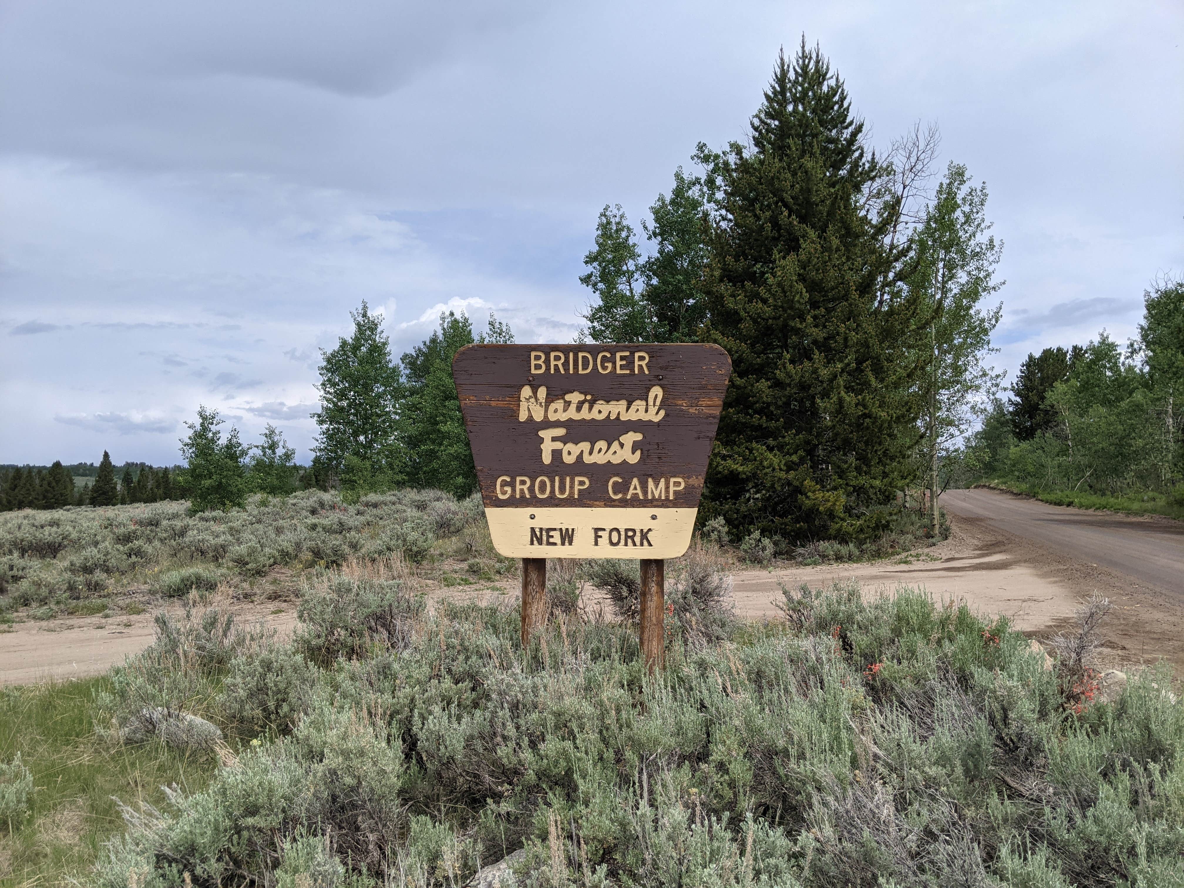 Camper submitted image from New Fork Lake Group Campground - 2
