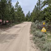 Review photo of New Fork Lake Group Campground by Greg L., June 24, 2021