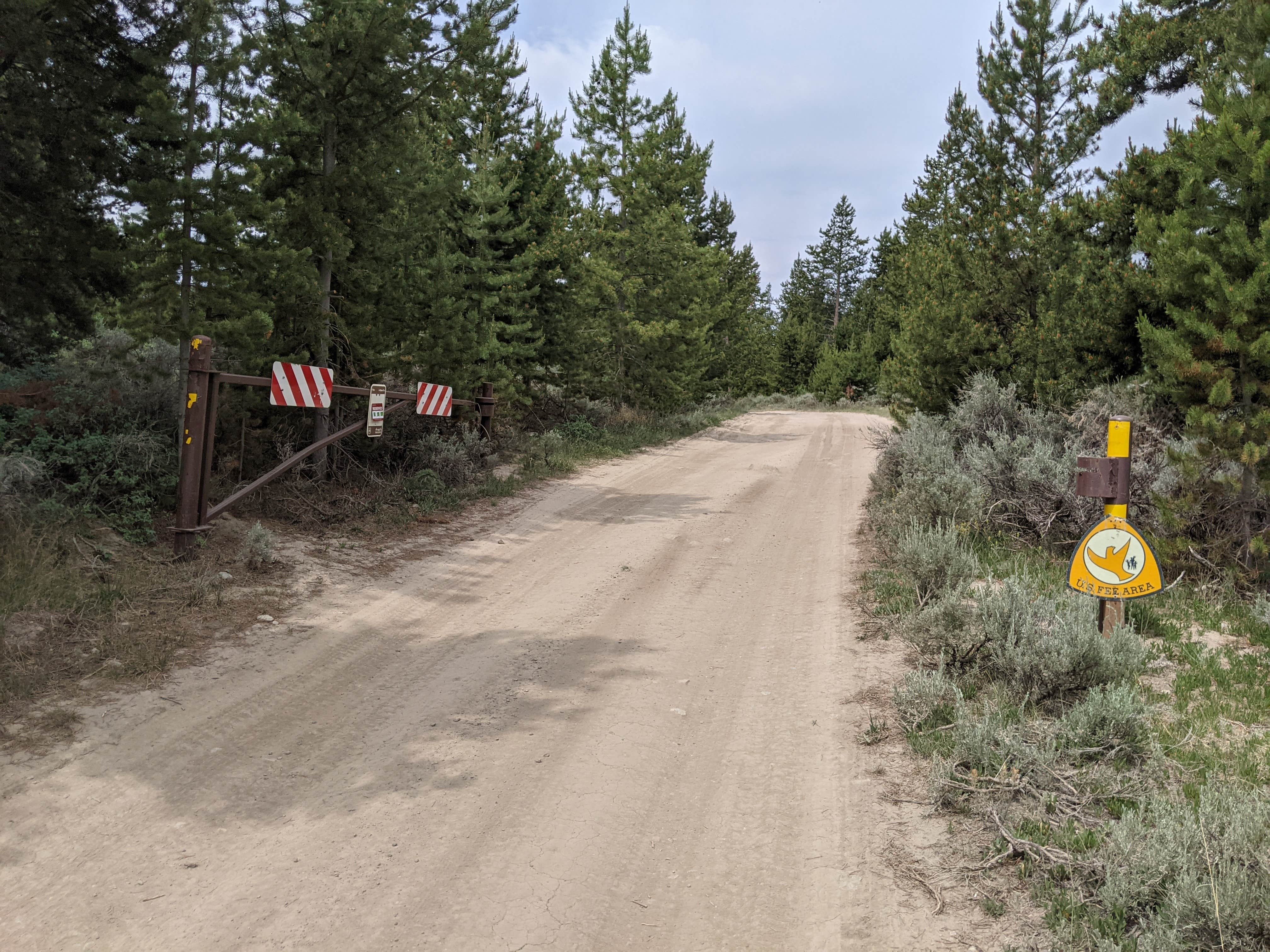 Camper submitted image from New Fork Lake Group Campground - 3