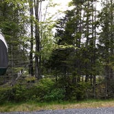 Review photo of Schoodic Woods Campground — Acadia National Park by Kim R., June 11, 2018