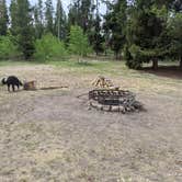 Review photo of New Fork Lake Group Campground by Greg L., June 24, 2021