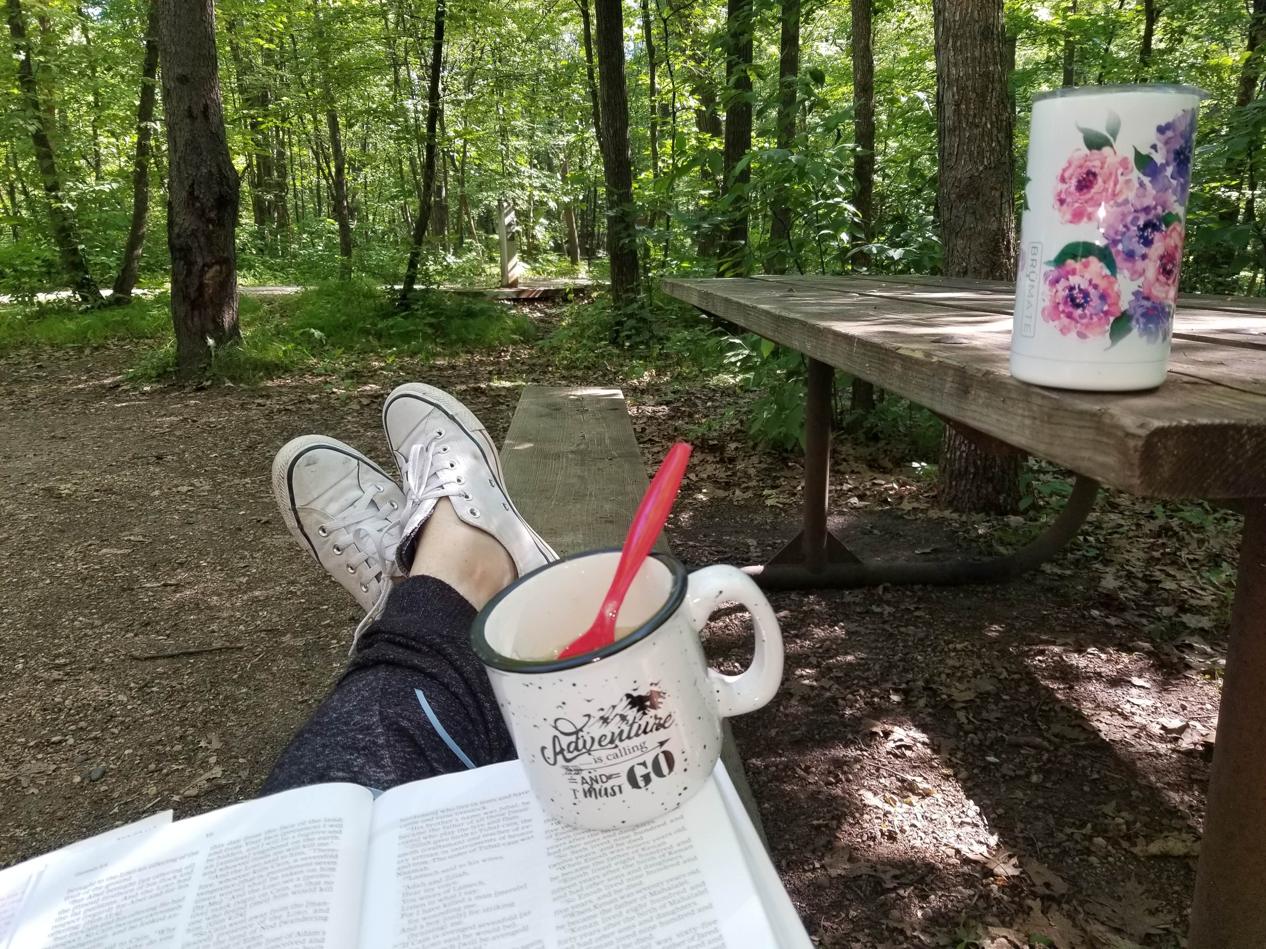 Amber G.'s photo at Lake Carlos State Park Campground near Fergus Falls, MN