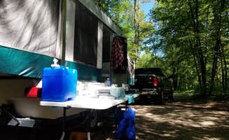 Amber G.'s photo of rv camping at Lake Carlos State Park Campground near Battle Lake, MN