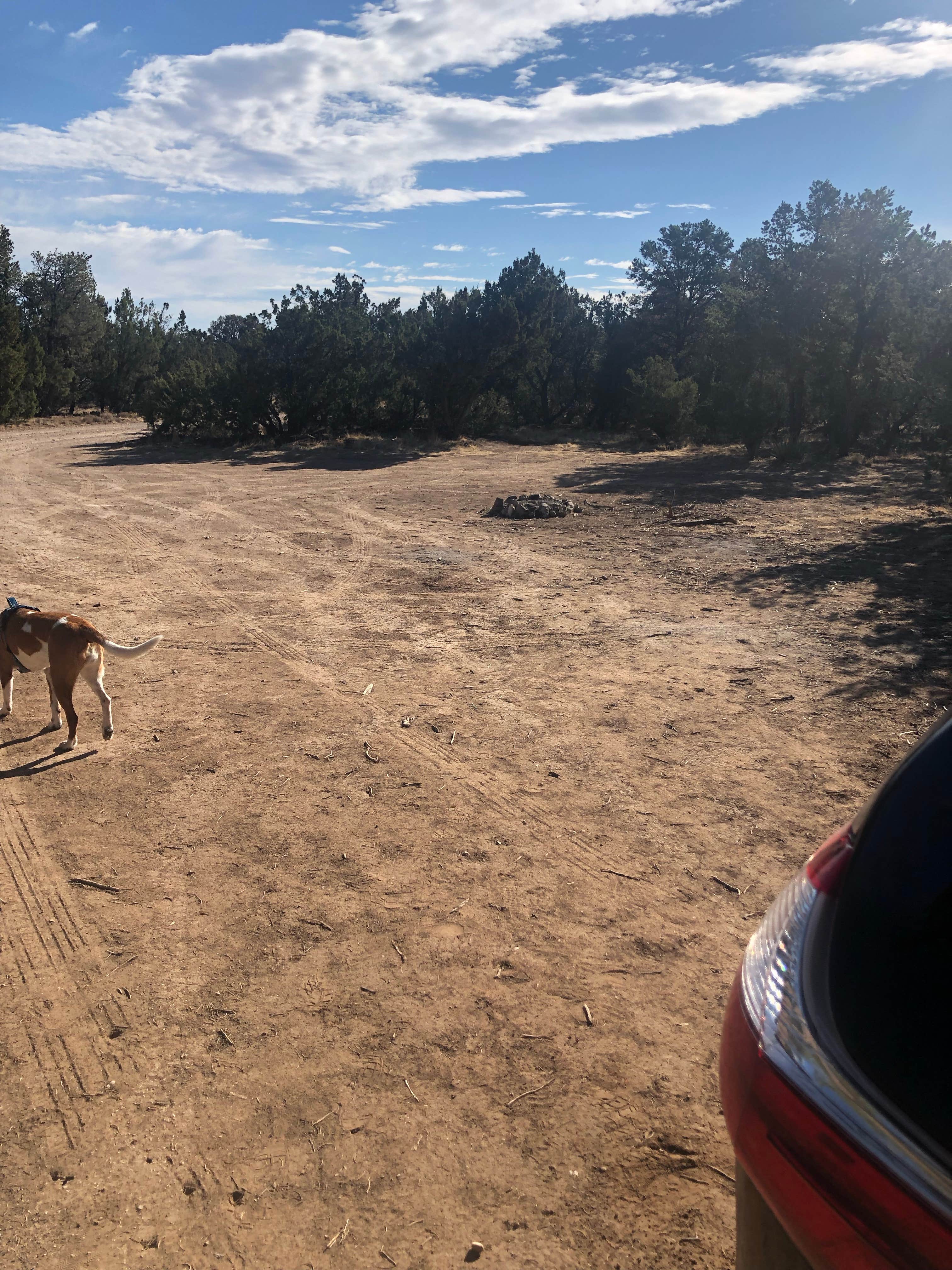 Camper submitted image from Torrance County Park Primitive Camping - 4