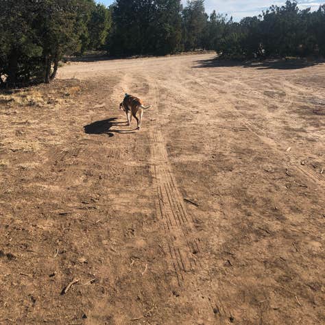 Torrance County Park Primitive Camping | The Dyrt