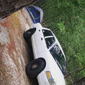 Review photo of Brendan Byrne State Forest by Dorian P., June 24, 2021