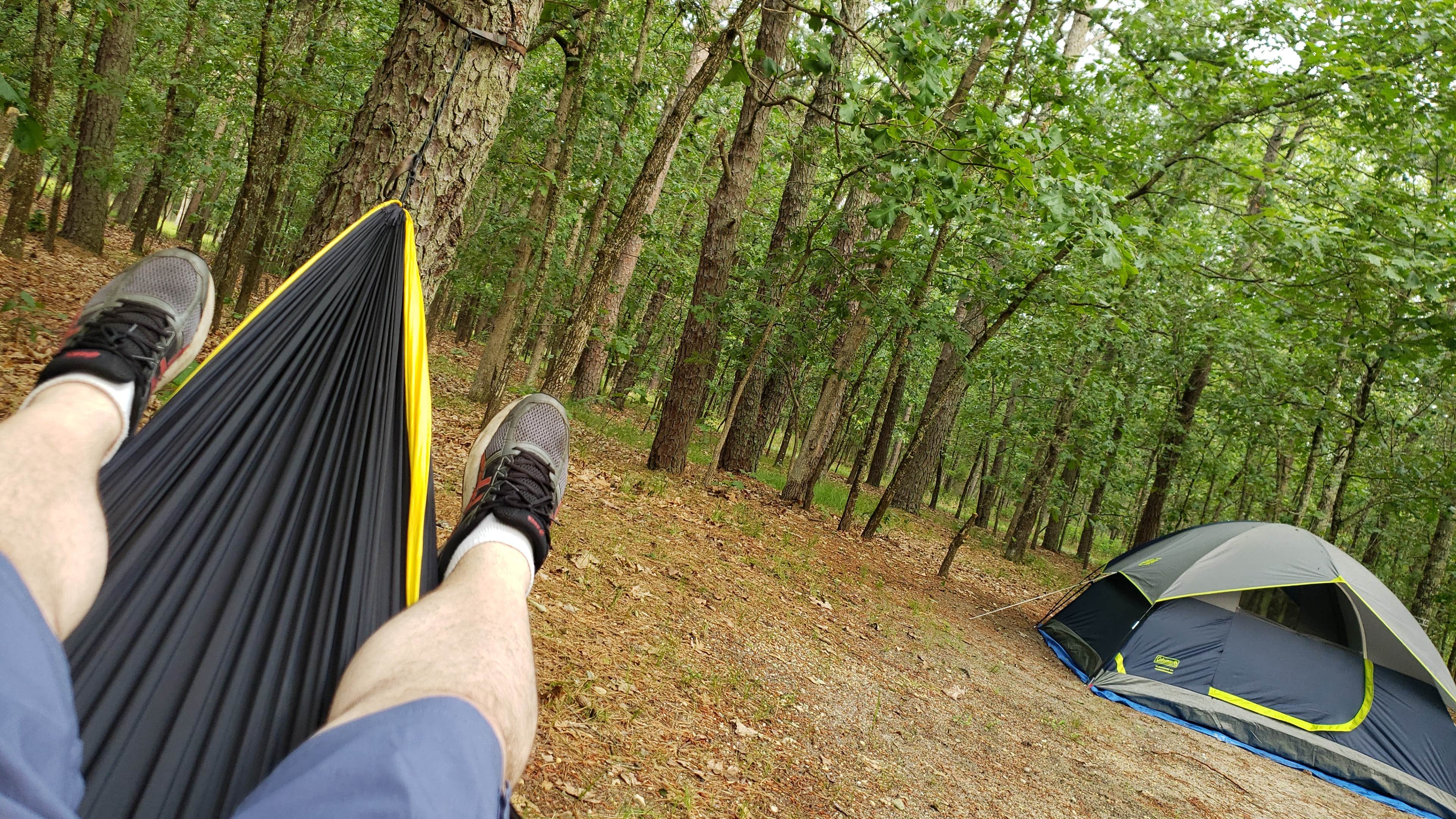 Dorian P.'s photo at Brendan Byrne State Forest near New Egypt, NJ