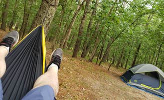 Dorian P.'s photo at Brendan Byrne State Forest in New Jersey