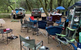 Sarah J.'s photo at Henry Cowell Redwoods State Park Campground near Felton, CA