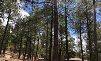 Camping near Whitetail Campground: Coronado National Forest Whitetail Group Site, Willow Canyon, Arizona