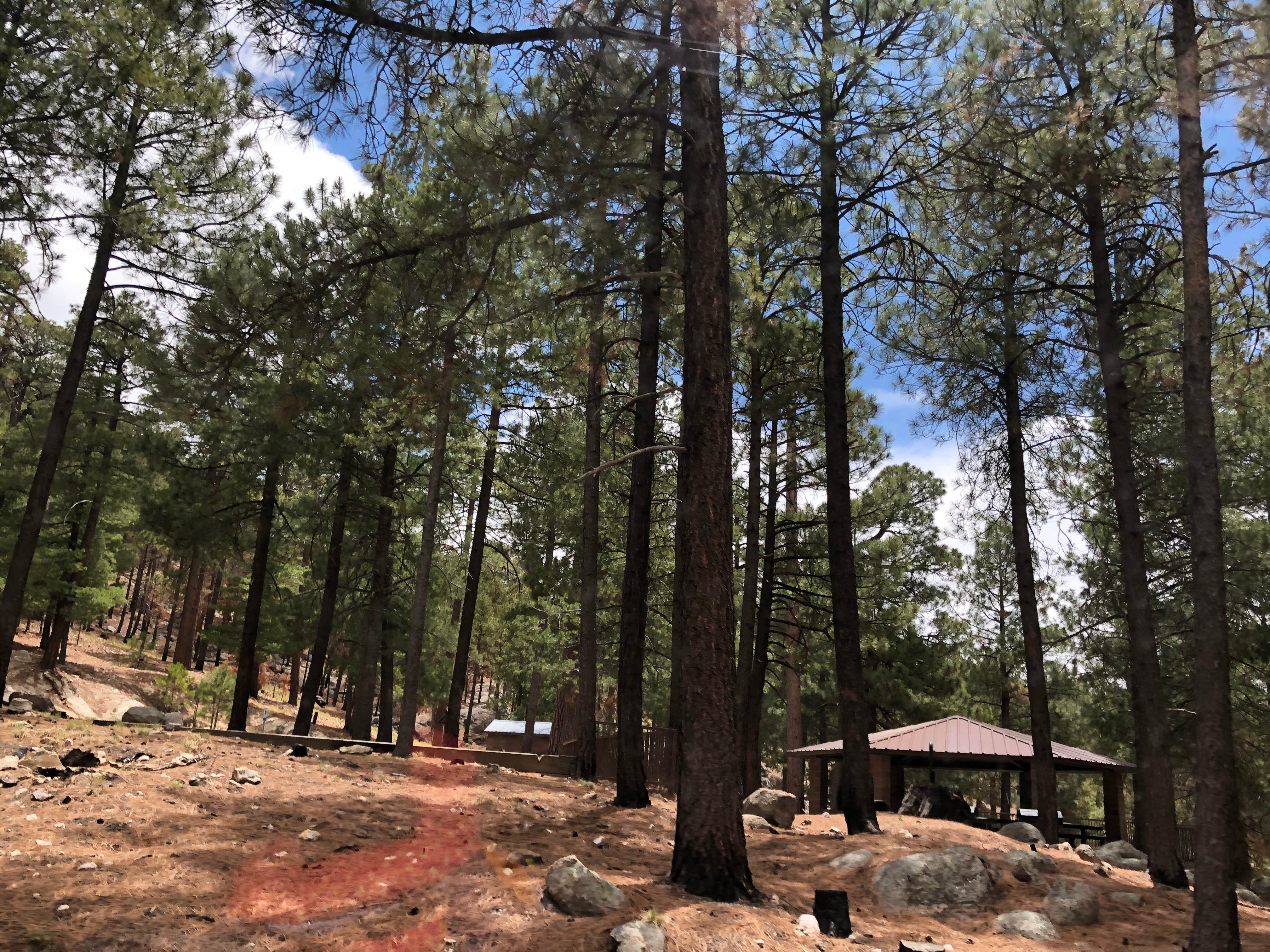 Camper submitted image from Coronado National Forest Whitetail Group Site - 1