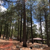 Review photo of Coronado National Forest Whitetail Group Site by Candy P., June 25, 2021
