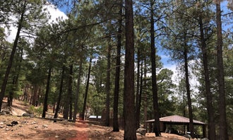 Camping near Gordon Hirabayashi Campground: Coronado National Forest Whitetail Group Site, Willow Canyon, Arizona