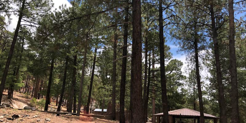 Camper submitted image from Coronado National Forest Whitetail Group Site