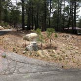 Review photo of Coronado National Forest Whitetail Group Site by Candy P., June 25, 2021