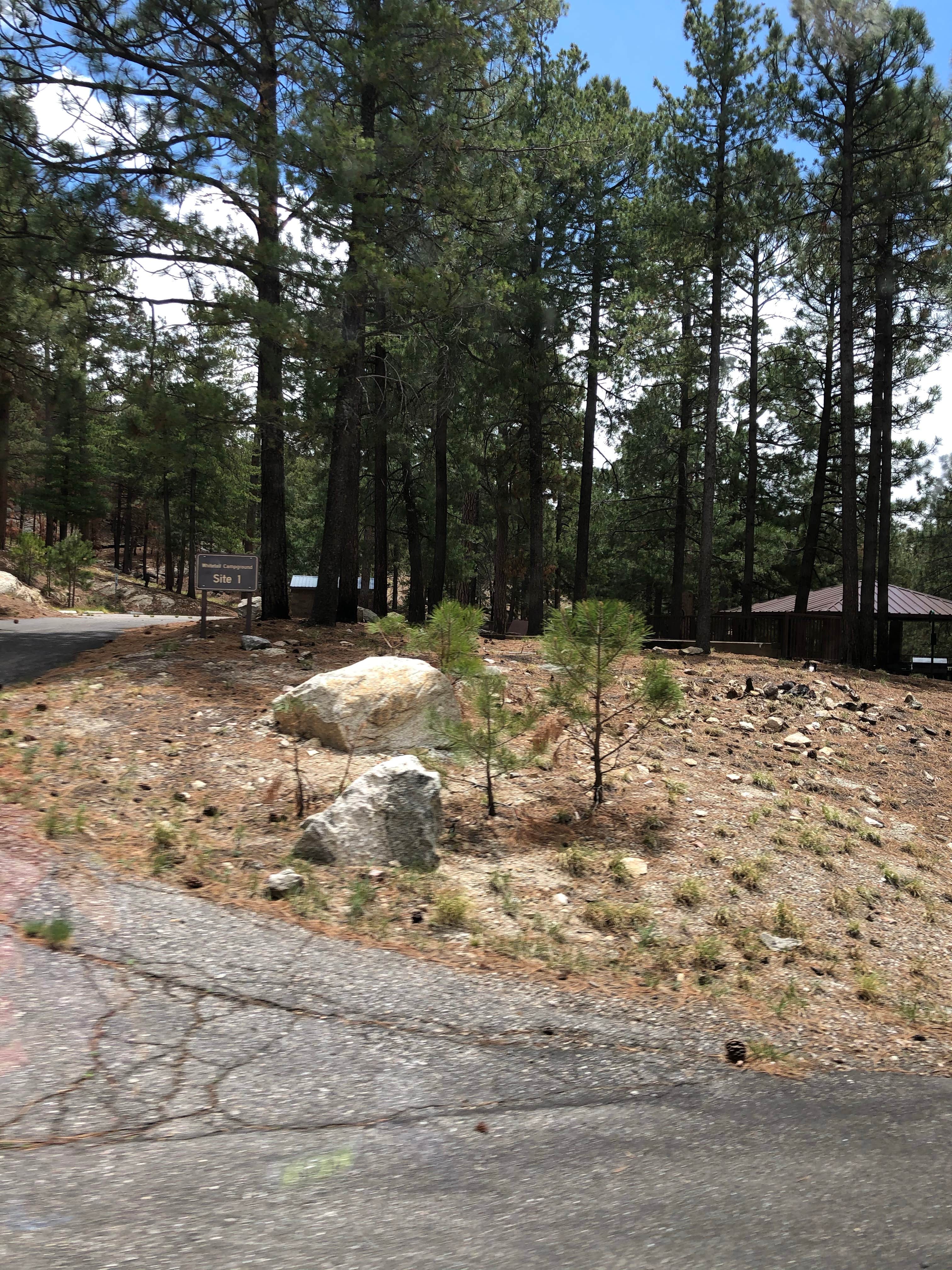 Camper submitted image from Coronado National Forest Whitetail Group Site - 3