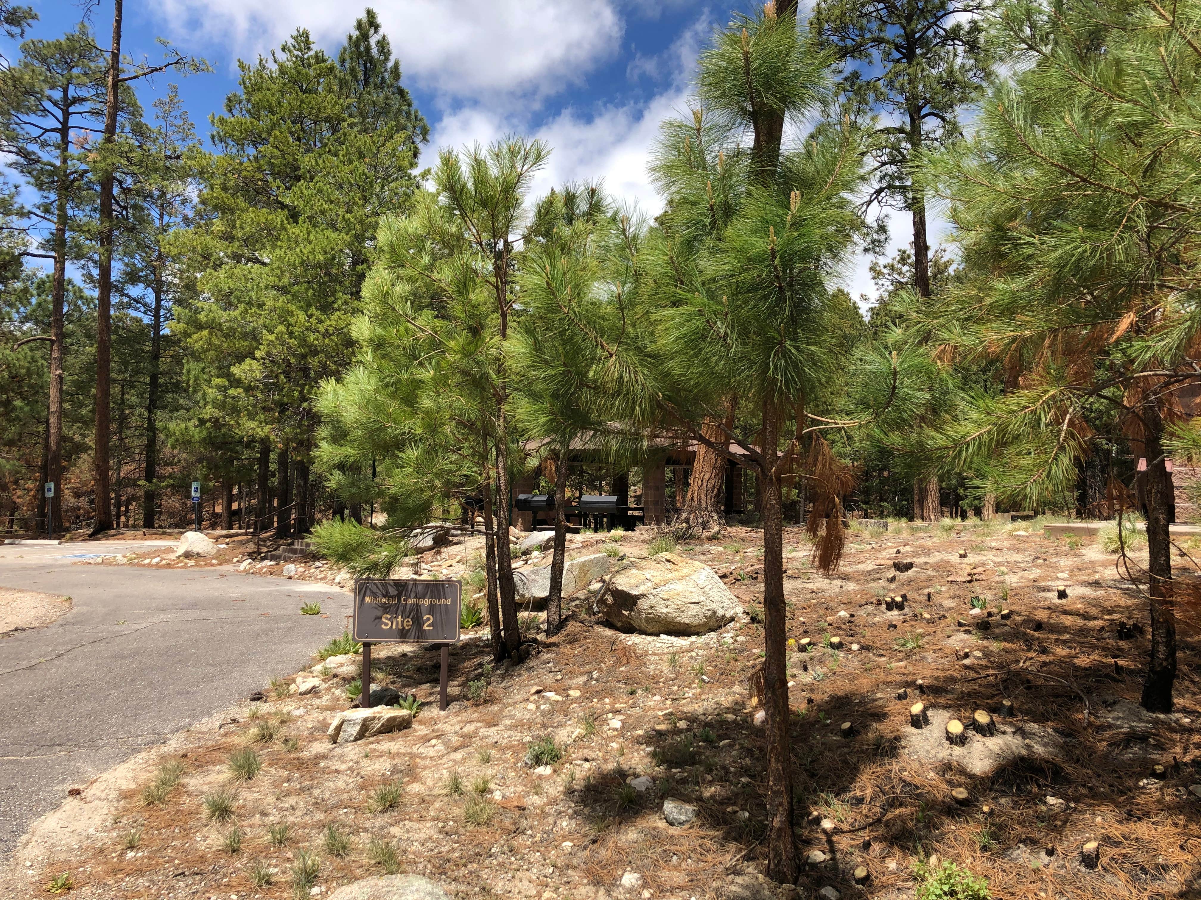 Camper-submitted photo at Coronado National Forest Whitetail Group Site near Marana, AZ