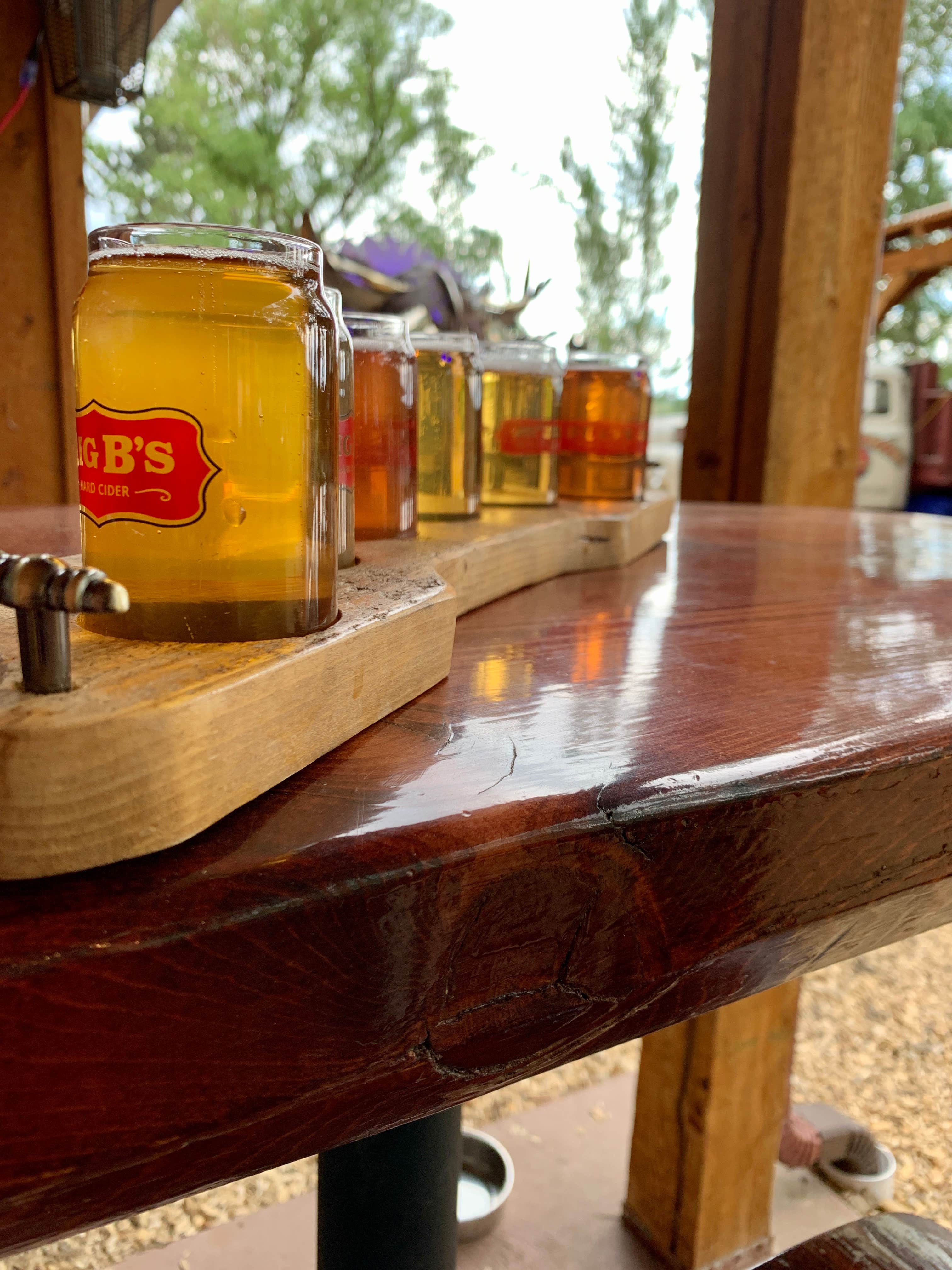 Camper-submitted photo at The Campground at Big B’s Delicious Orchards near Paonia, CO