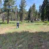 Review photo of Clark Fork Campground by KELLY Q., June 25, 2021